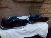 IMG_20160903_123407.jpg