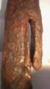 IMG_20160903_192618.jpg