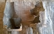 WP_20160903_005.jpg