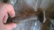 WP_20160903_016.jpg