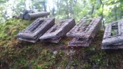 20160904_133052.jpg