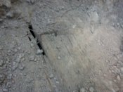IMG00203.jpg