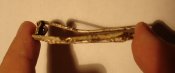 DSC05545.JPG