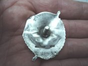 DSC04135.JPG