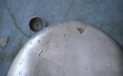 DSCN0555.JPG