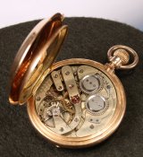 IMG_7292.JPG