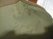 IMG_2492.JPG