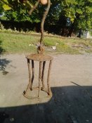 IMG_20160906_091752.jpg