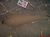 DSC00765.jpg