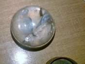 WP_20160906_017.jpg