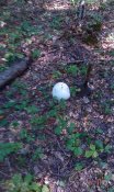 IMAG0047.jpg