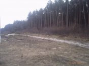 PICT0279.jpg