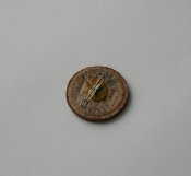 DSCN6130.jpg