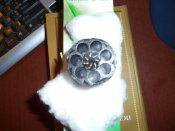 DSCN1075.JPG