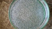 IMG_20160911_124955.jpg