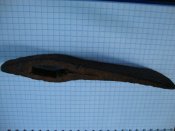DSC00780.JPG