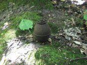 DSCF2191.JPG