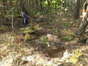20160911_102813.jpg