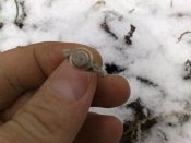 26032011054.jpg