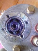 IMG_20160909_094746.jpg