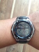 IMG_1245.JPG