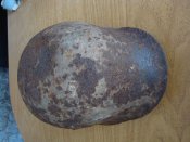 DSC02012.JPG
