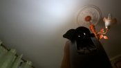WP_20160914_20_27_45_Pro.jpg