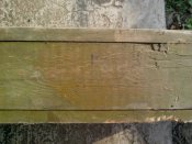 IMG_20160913_160213.jpg
