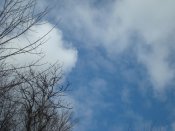 DSC09393.jpg