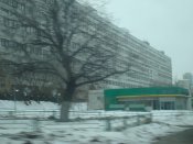 DSC09415.jpg