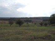 DSCF2222.JPG