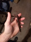 IMG_20160915_213143.jpg
