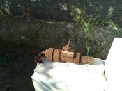 IMG_20160906_094019.jpg