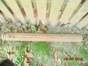 DSC06076.JPG