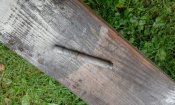 20160916_151132.jpg