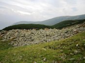 IMG_3643.JPG