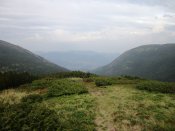 IMG_3647.JPG