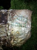 IMG_20160918_093610.jpg