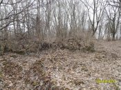 SDC13475.jpg