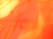 DSCN1554.JPG
