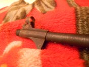 DSCN1557.JPG