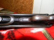 DSCN1565.JPG