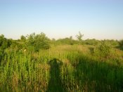 DSC03810.JPG