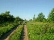 DSC03813.JPG