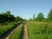 DSC03815.JPG
