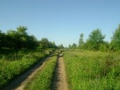 DSC03817.JPG