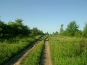DSC03818.JPG