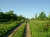 DSC03819.JPG