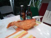 20160919_095447.jpg