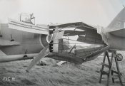 Fig11.jpg